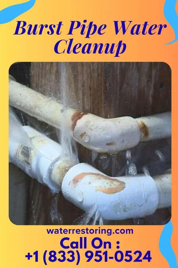 Burst Pipe Water Cleanup in Fieldon, IL