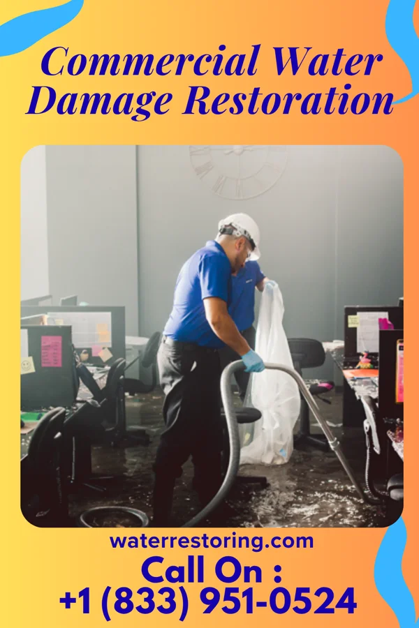 Commercial Water Damage Restoration in Fieldon, IL