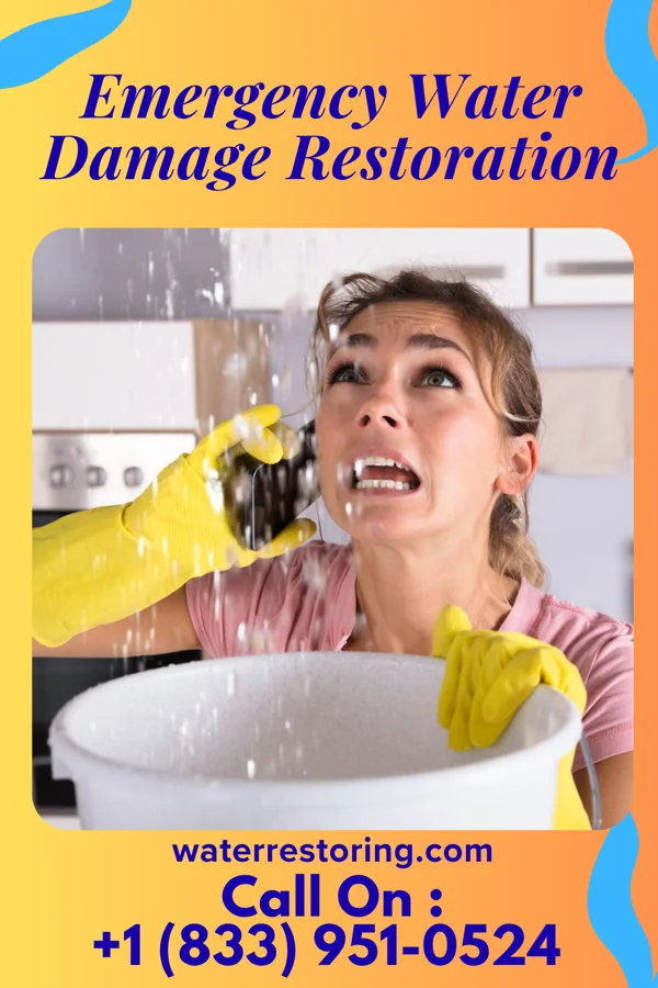 Emergency Water Damage Restoration in Fieldon, IL