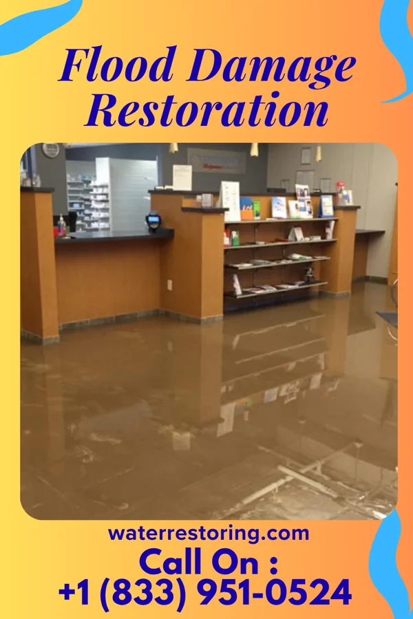 Flood Damage Restoration in Fieldon, IL
